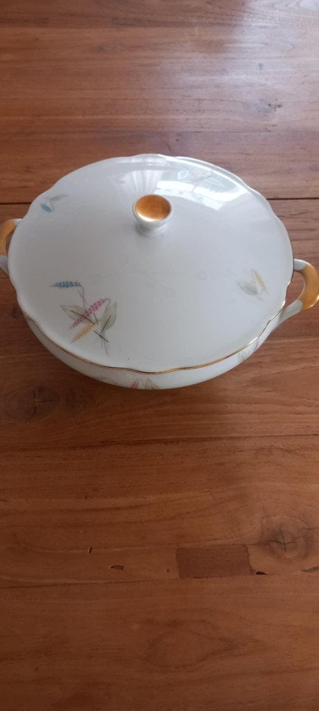 porseleinen Schirnding bavaria servies jaren 1950, Enlèvement
