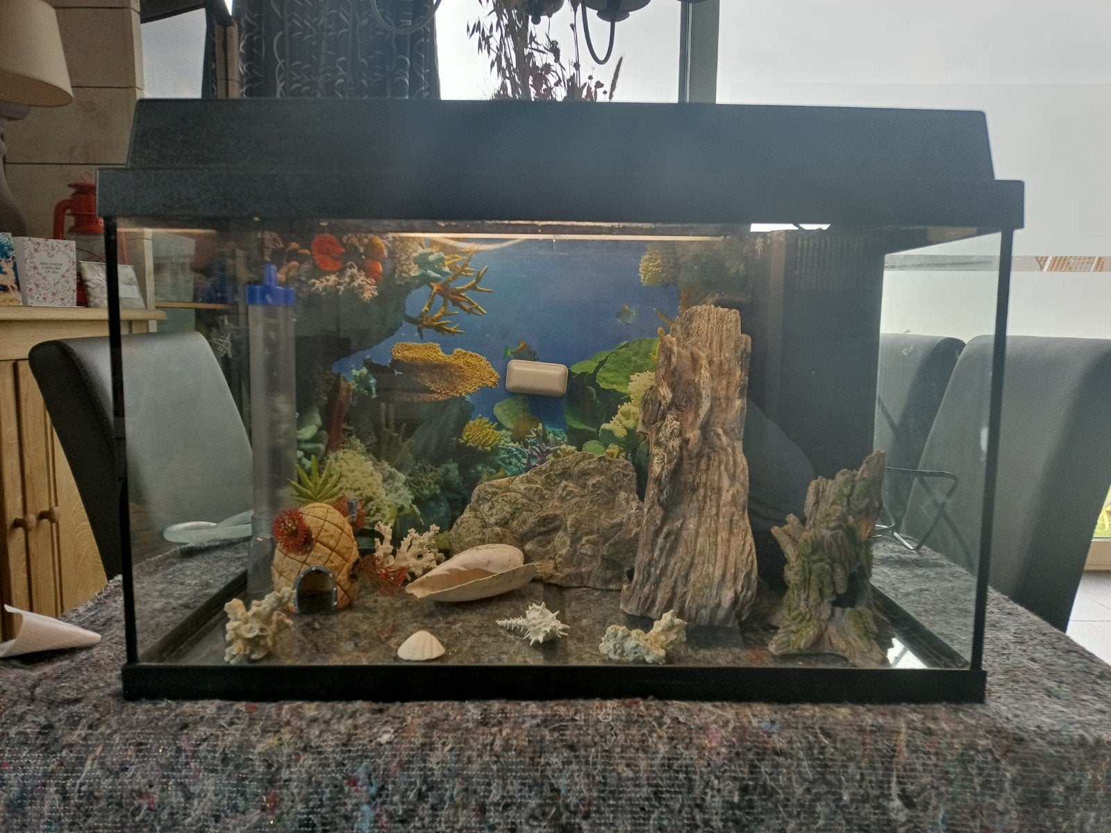 Juwel 60 aquarium met toebehoren en verlichting, Animaux & Accessoires, Enlèvement, Utilisé, Éclairage ou Chauffage, Accessoires inclus