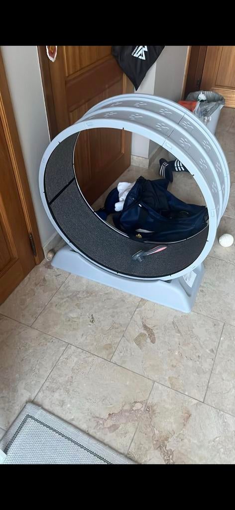 Roue pour chat, Enlèvement