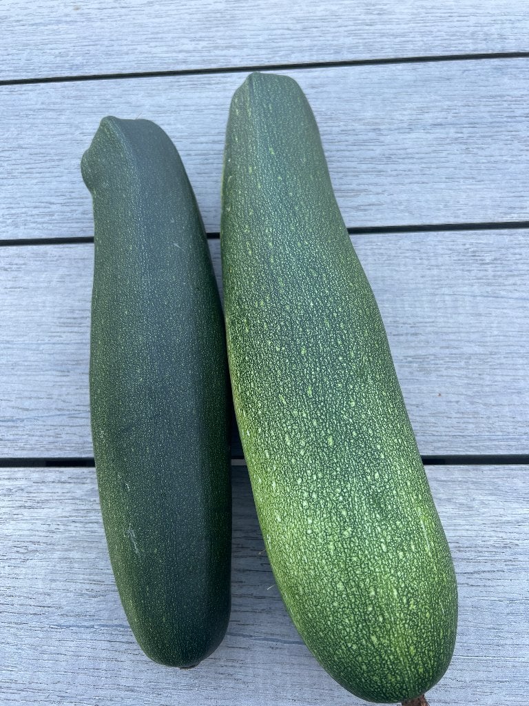 Dagelijks verse courgette, Tuin en Terras, Ophalen