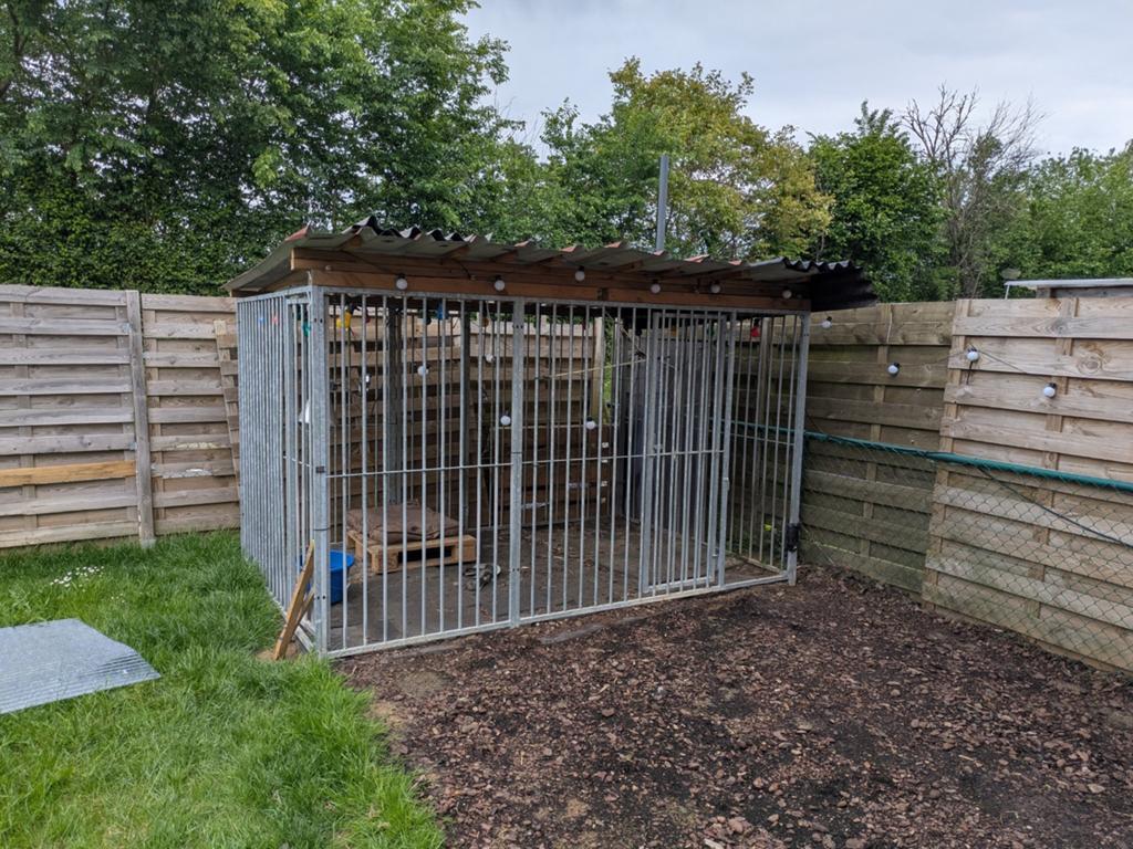 Hondenkennel, Animaux & Accessoires, Maisons pour chiens, Enlèvement, Chenil chien
