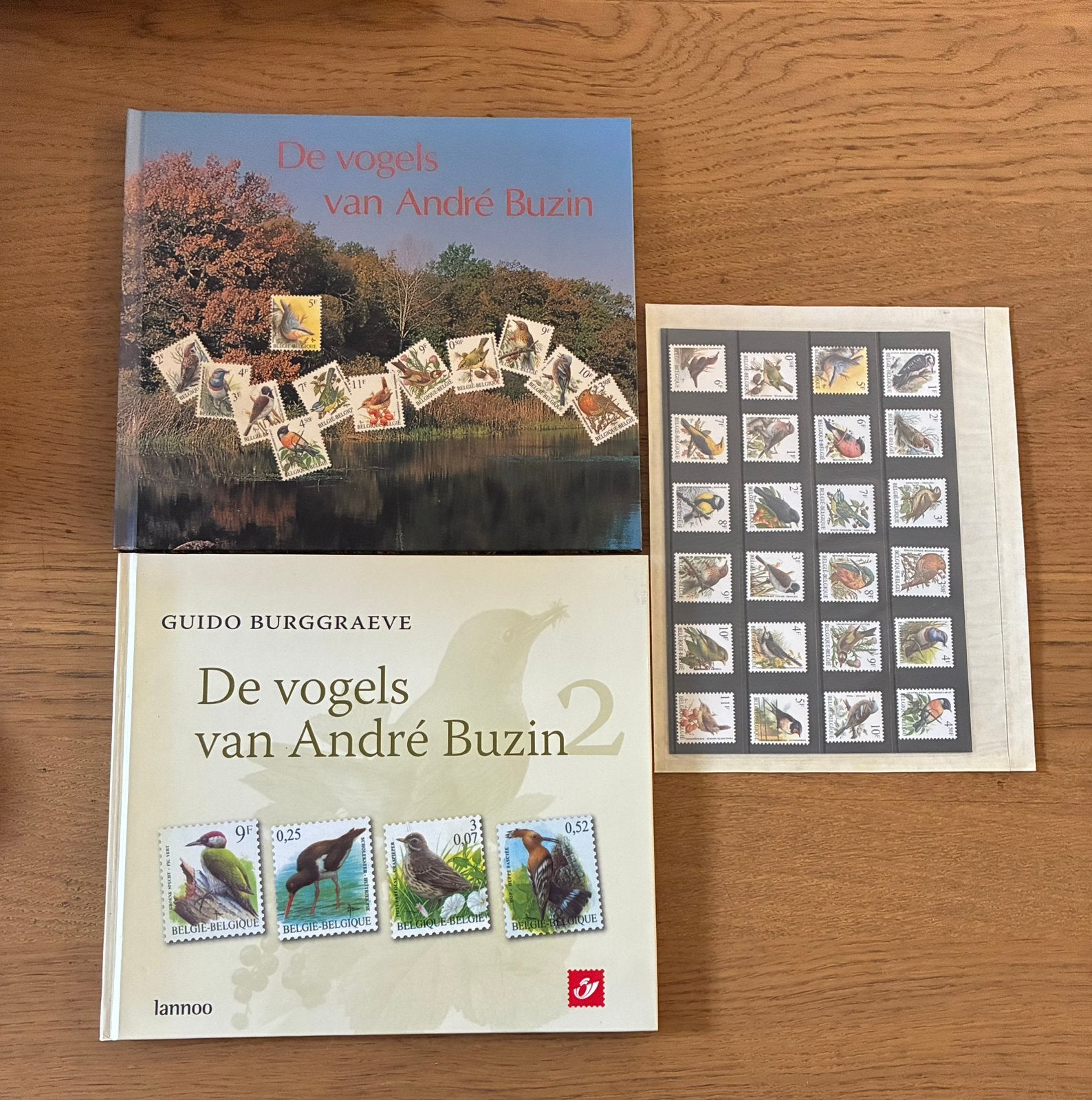 De vogels van André Buzin, Enlèvement ou Envoi