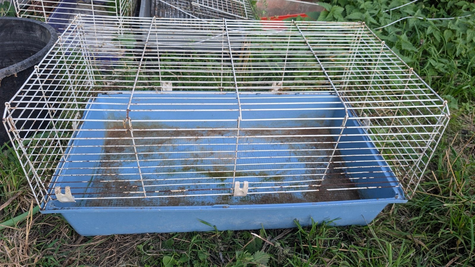 cage pour lapin, Enlèvement, Cage, Lapin
