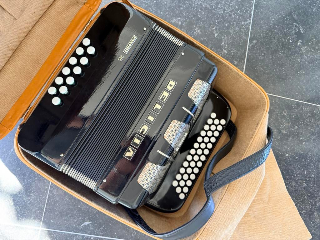 Delicia Favorit III diatonische knop-accordeon, Ophalen, Gebruikt, Met koffer, Delicia