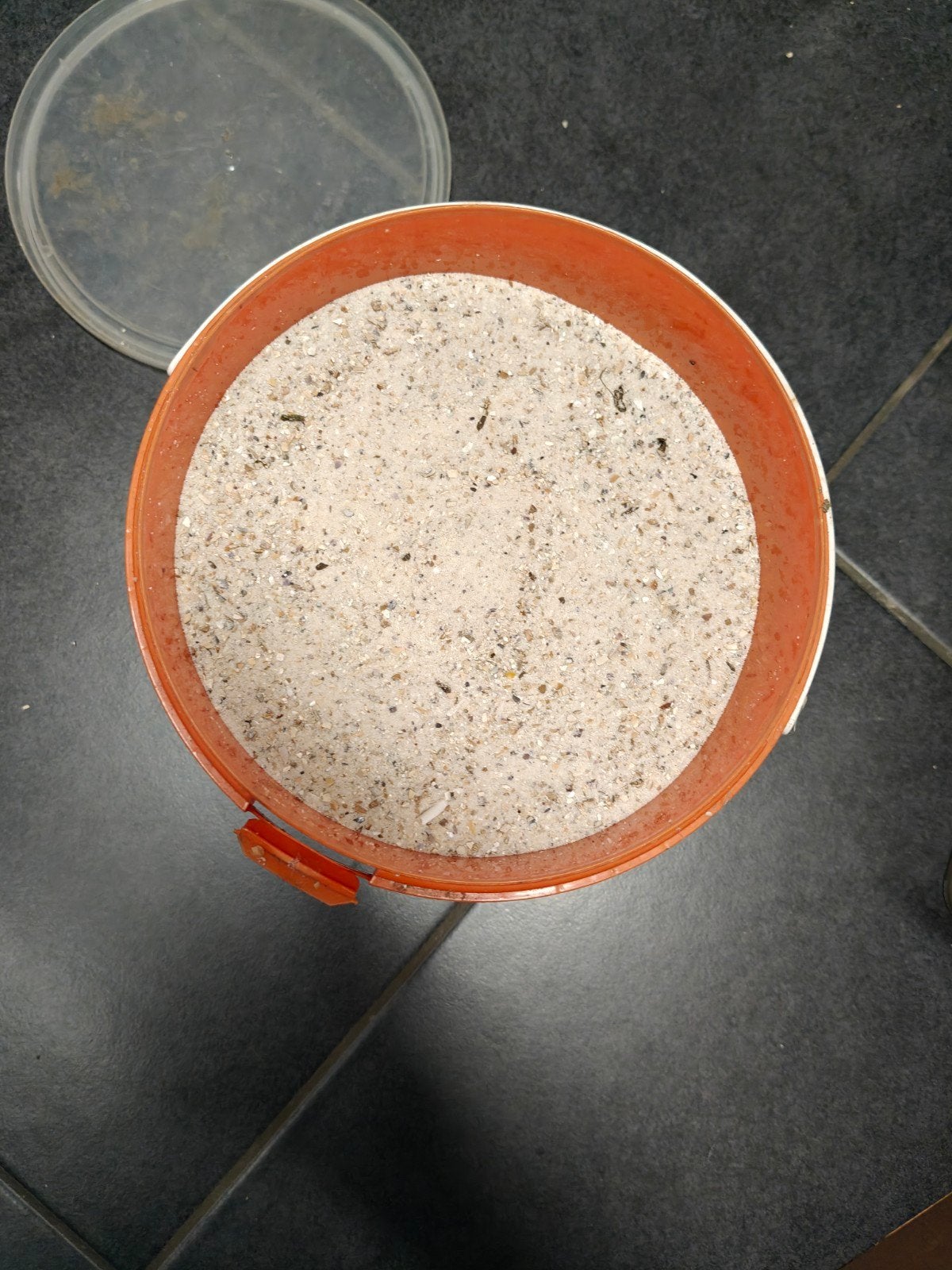 Calcium kippen, Dieren en Toebehoren, Pluimvee, Kip