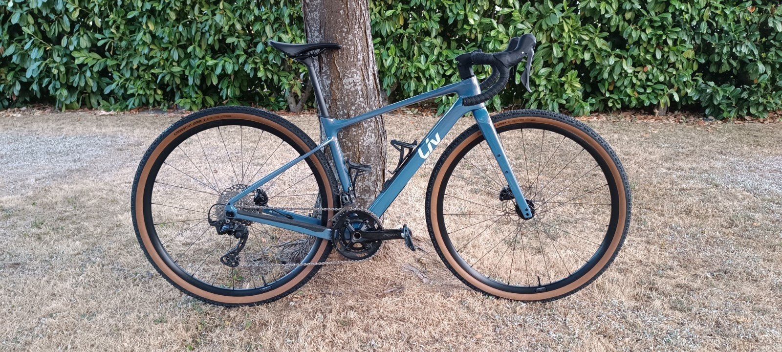 Gravel Liv Devote Advanced 2 2026 S, Fietsen en Brommers, Ophalen of Verzenden, Giant