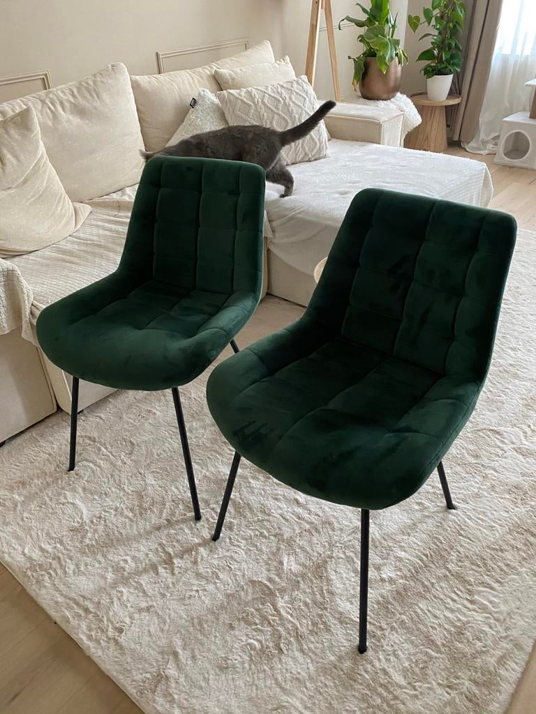 2 Eetkamerstoelen, Huis en Inrichting, Ophalen, Zo goed als nieuw, Overige kleuren, Stof