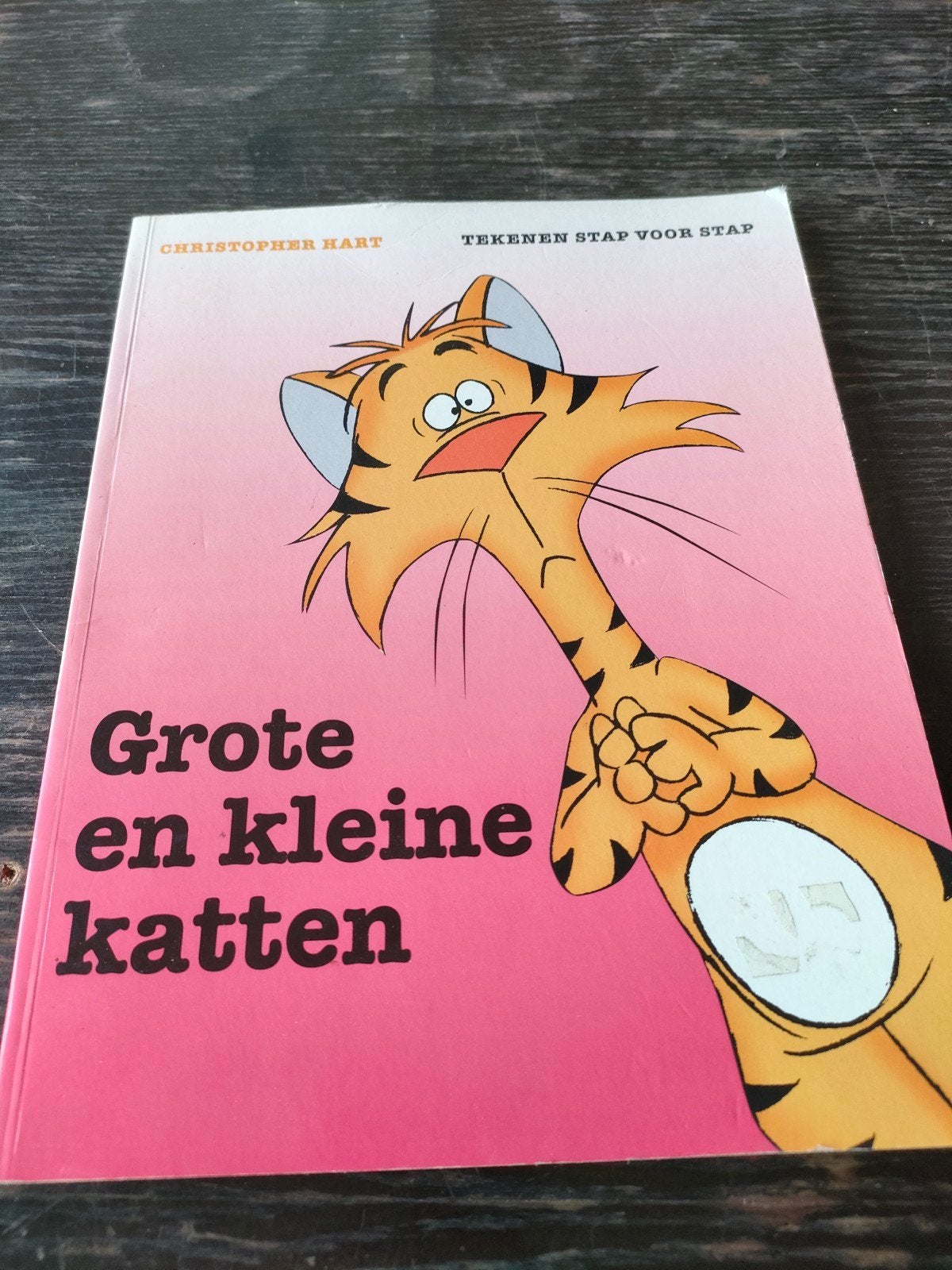 Tekenen stap voor stap - Kleine en grote katten, Ophalen, Zo goed als nieuw, C. Hart