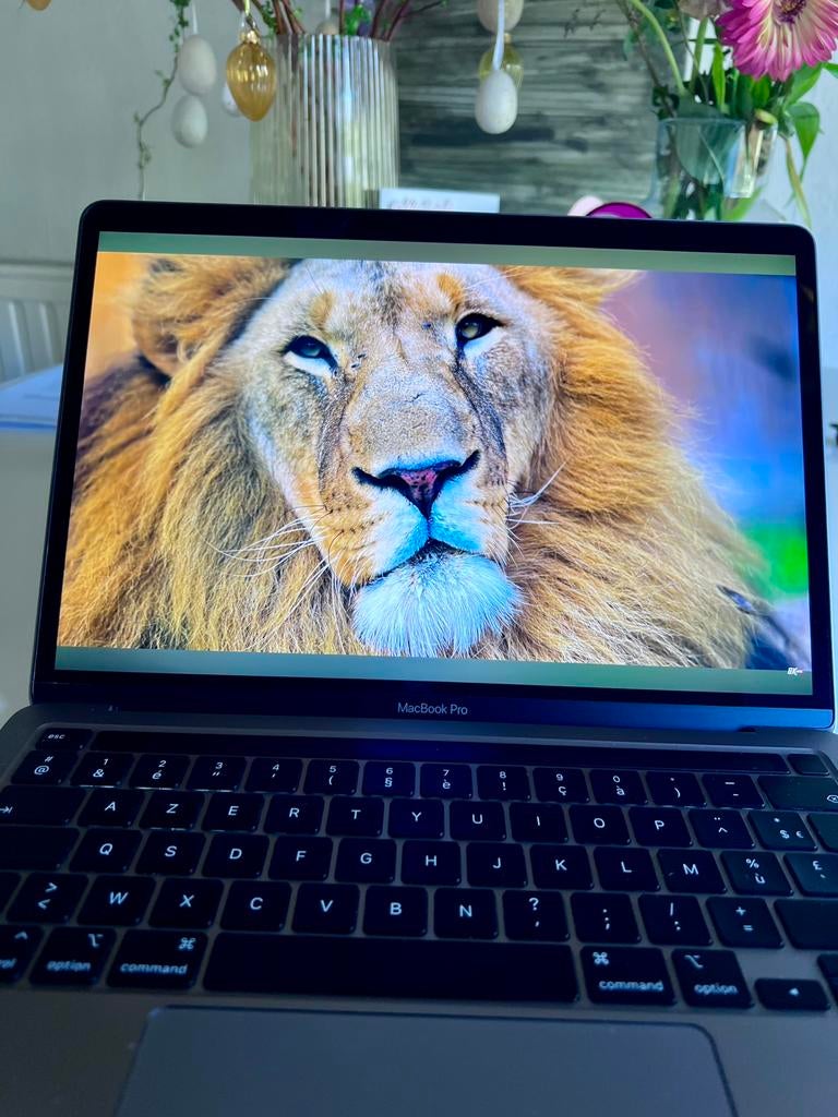 Apple MacBook Pro 13”  2020 avec 16 Go de RAM et 1 To de SSD, Enlèvement ou Envoi, 13 pouces, MacBook, Utilisé