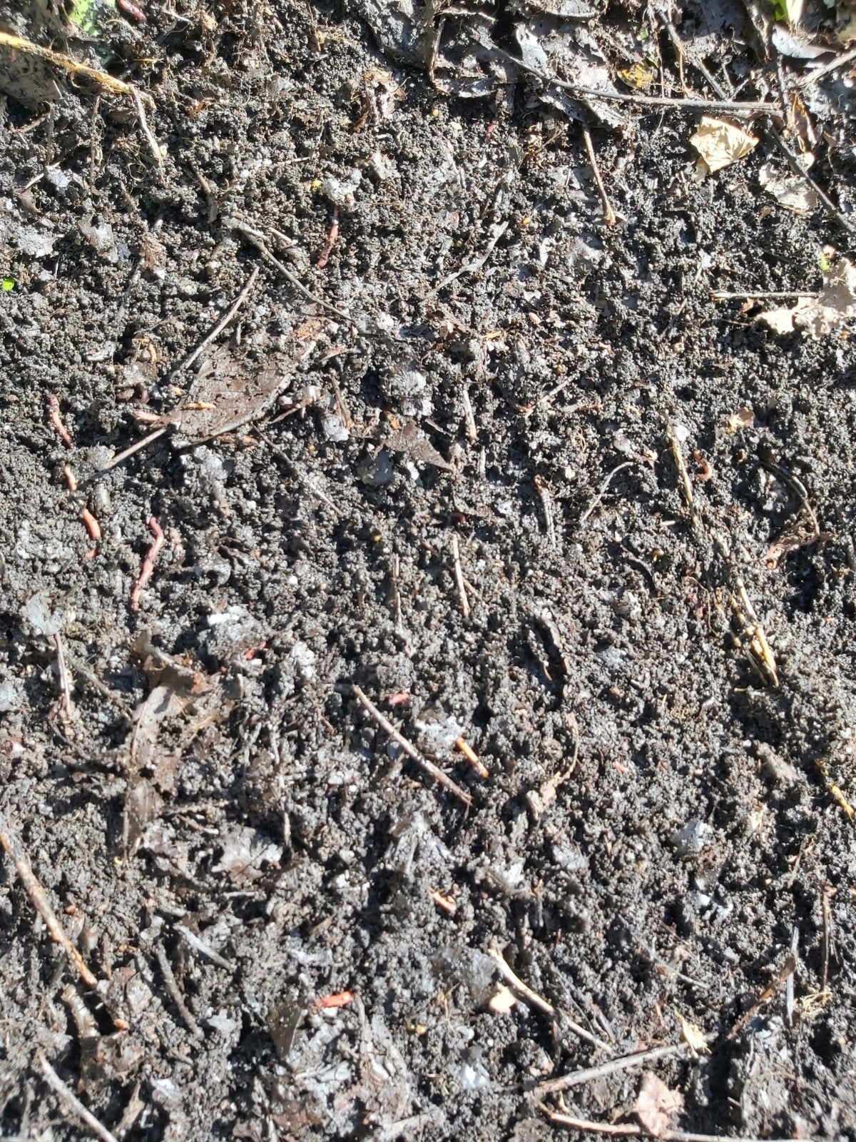 Compost, Ophalen, Compost
