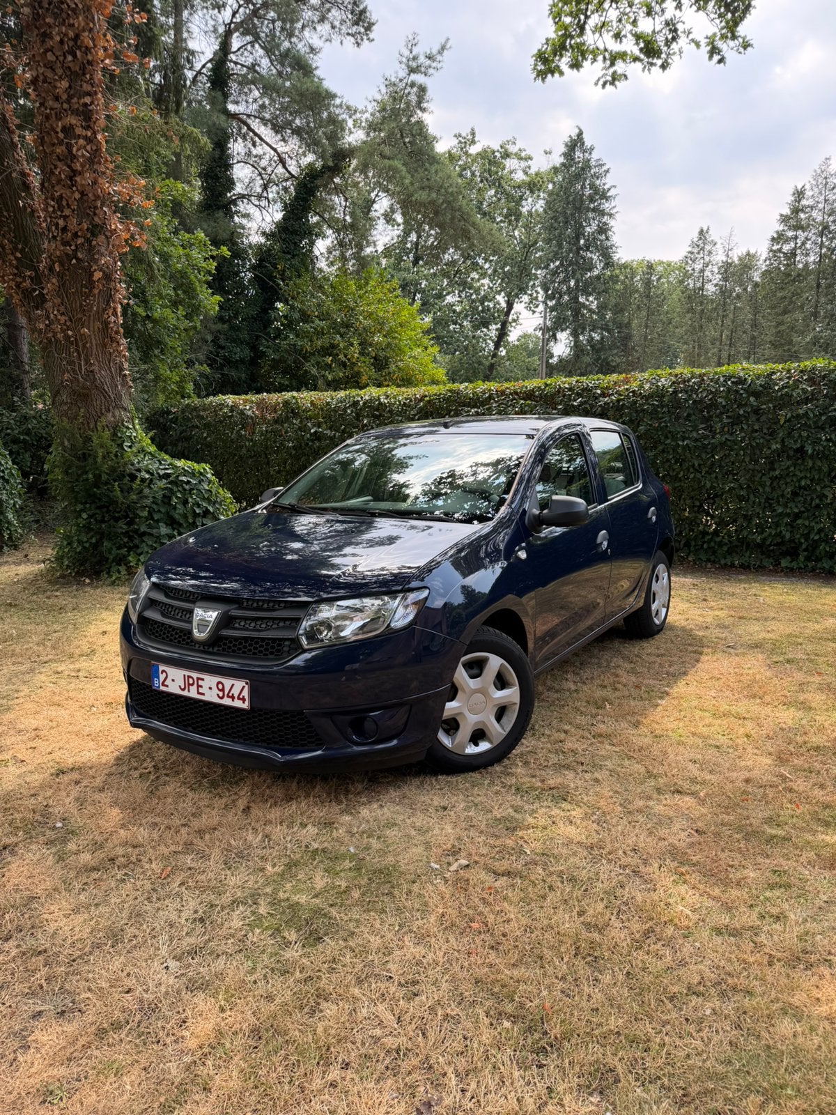 Dacia Sandero, Auto's, Blauw, 5 deurs, Particulier, USB