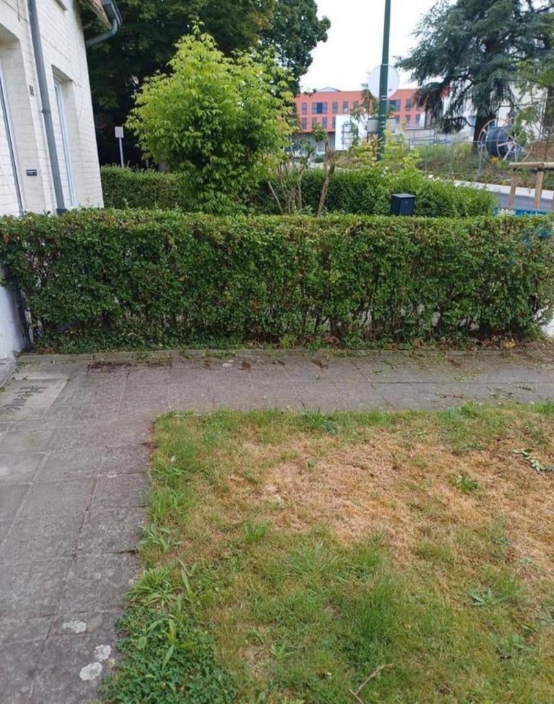 Jardinier a votre service