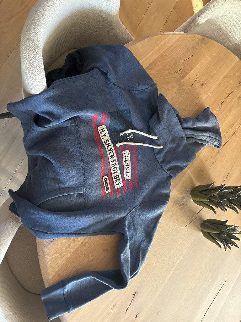 Trui, Kleding | Heren, Ophalen, Maat 52/54 (L), Blauw, Zo goed als nieuw