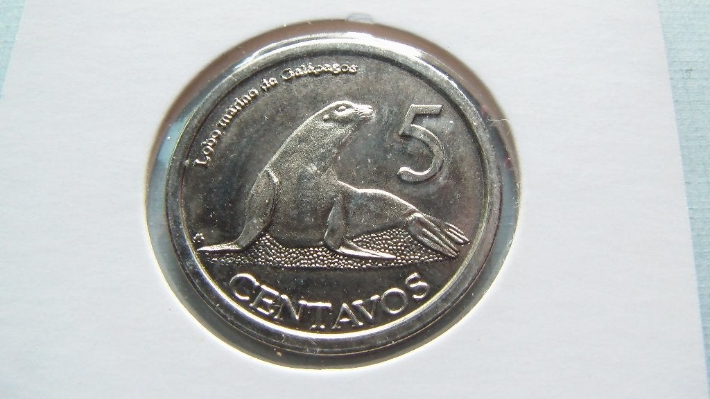 iles galapagos 5 centavos 2008, Postzegels en Munten, Munten | België, Ophalen