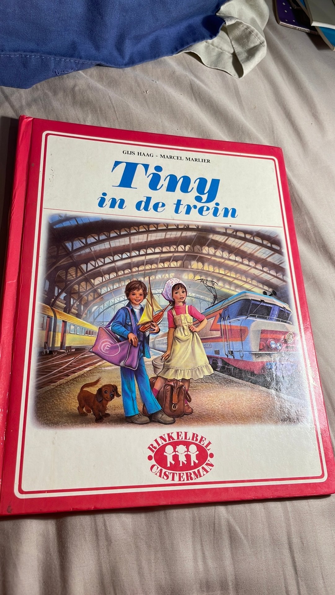 Tiny boekje, Livres, Livres pour enfants | 0 an et plus, Enlèvement, Comme neuf