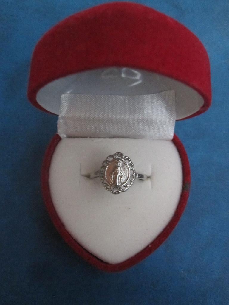 Bague - couleur argentée - Maria Image small (NOUVEAU), Bijoux, Sacs & Beauté, Bagues, Neuf, Enlèvement ou Envoi, Fer ou Acier