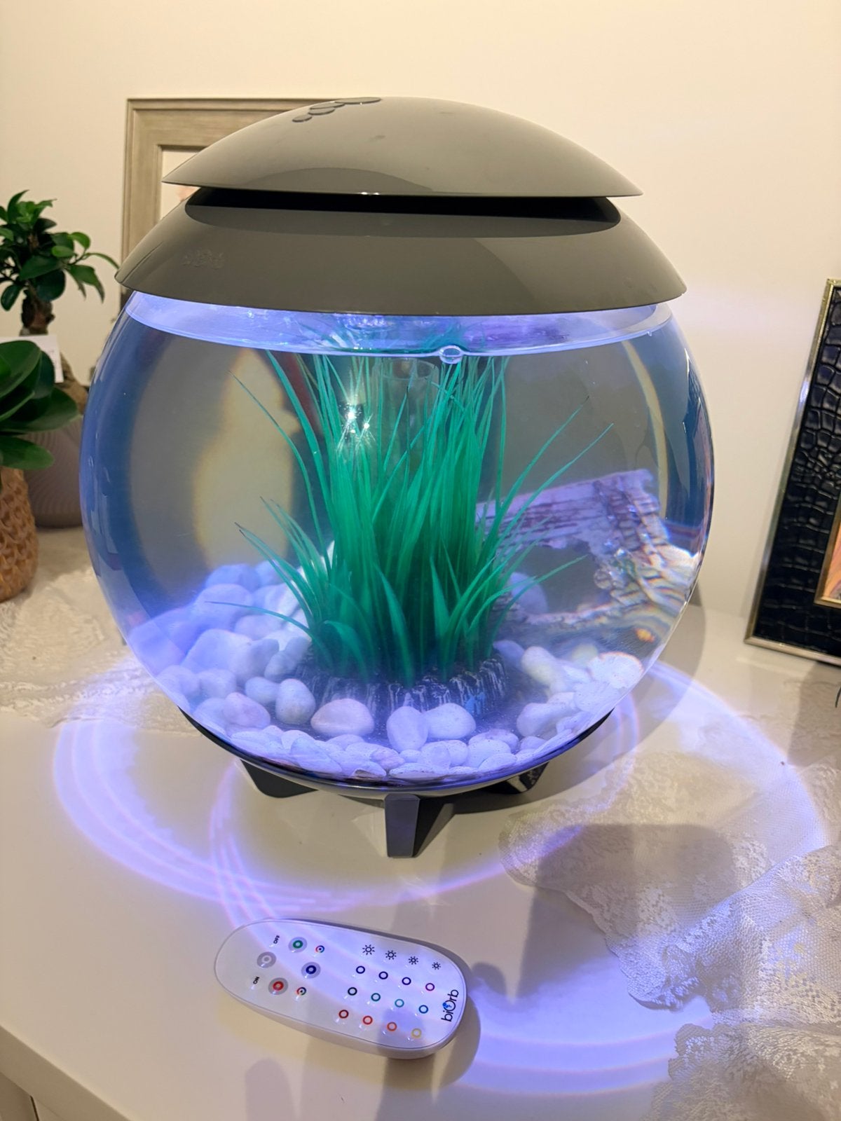 Biorb Halo15 aquarium, Dieren en Toebehoren, Vissen | Aquaria en Toebehoren, Ophalen, Gebruikt, Inclusief controller, Overige merken