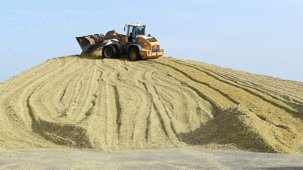 Kuilmais, Zakelijke goederen, Landbouw | Veevoer, Ophalen