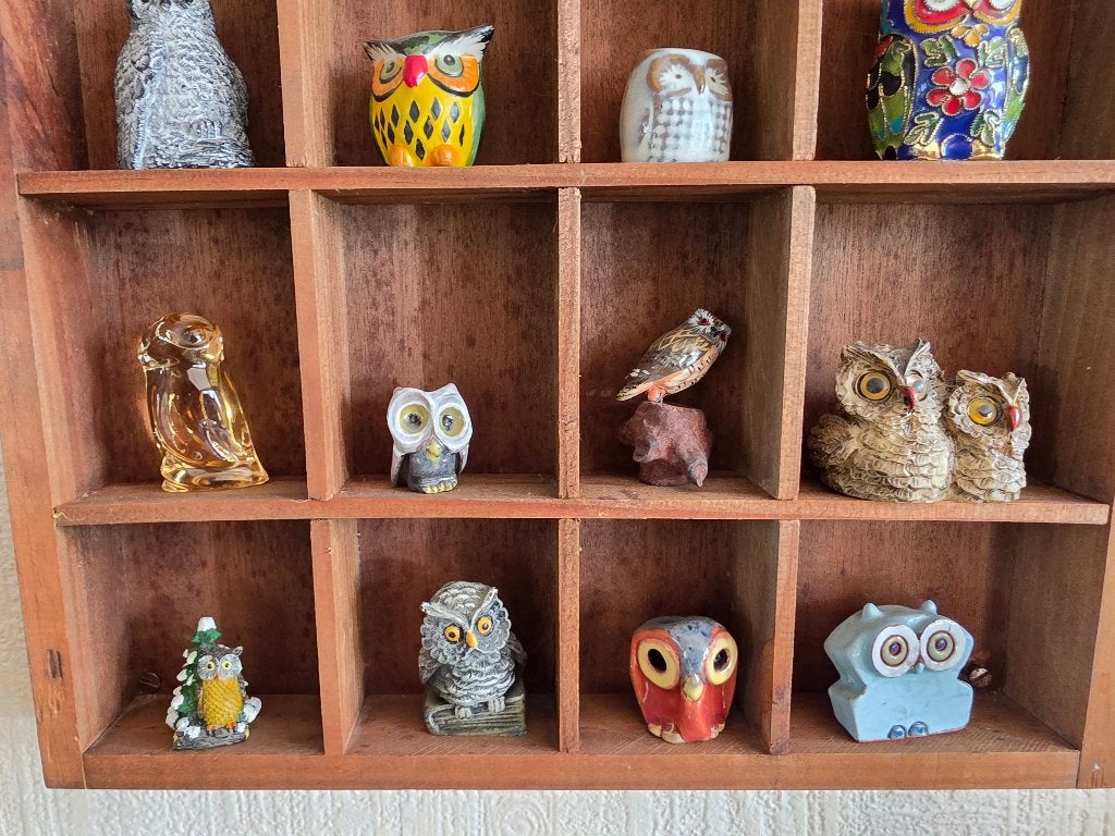 uiltjes, Ophalen of Verzenden, Zo goed als nieuw, Dier
