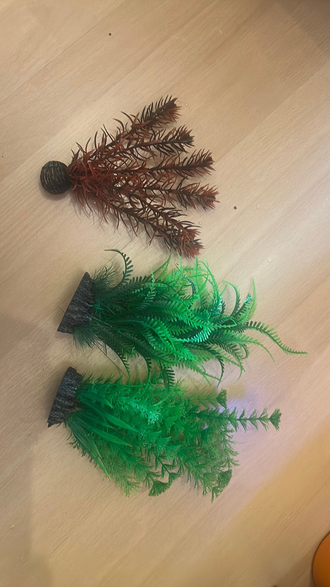Plastice planten aquarium, Ophalen, Zo goed als nieuw, Overige typen