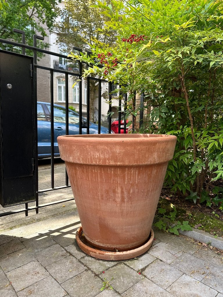 Pot plante + Soucoupe - Terre cuite - État impeccable, 40 cm ou plus, 40 à 70 cm, Rond, Comme neuf