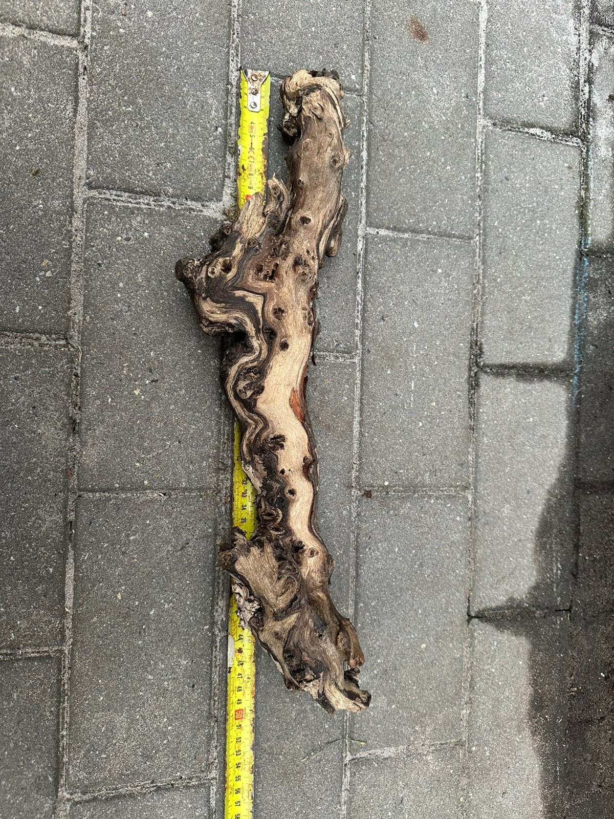 Aquarium Hout, Dieren en Toebehoren, Ophalen, Zo goed als nieuw, Plant(en), Steen of Hout
