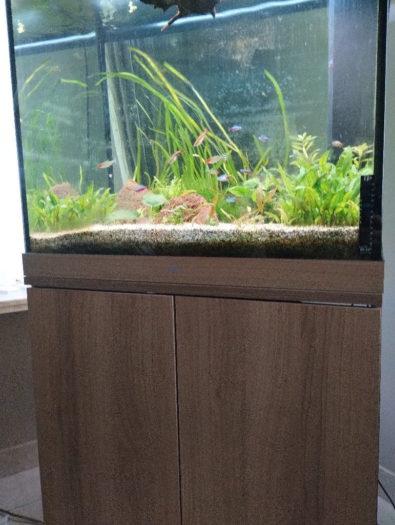 Juwel Lido 200, Animaux & Accessoires, Decoratie, Pompe, Comme neuf, Enlèvement