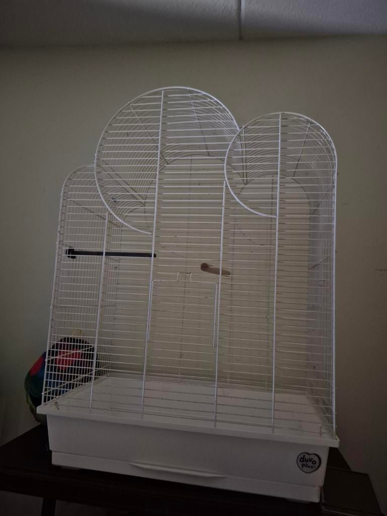 A vendre 30 euro urgent, Animaux & Accessoires, Oiseaux | Cages & Volières, Enlèvement ou Envoi