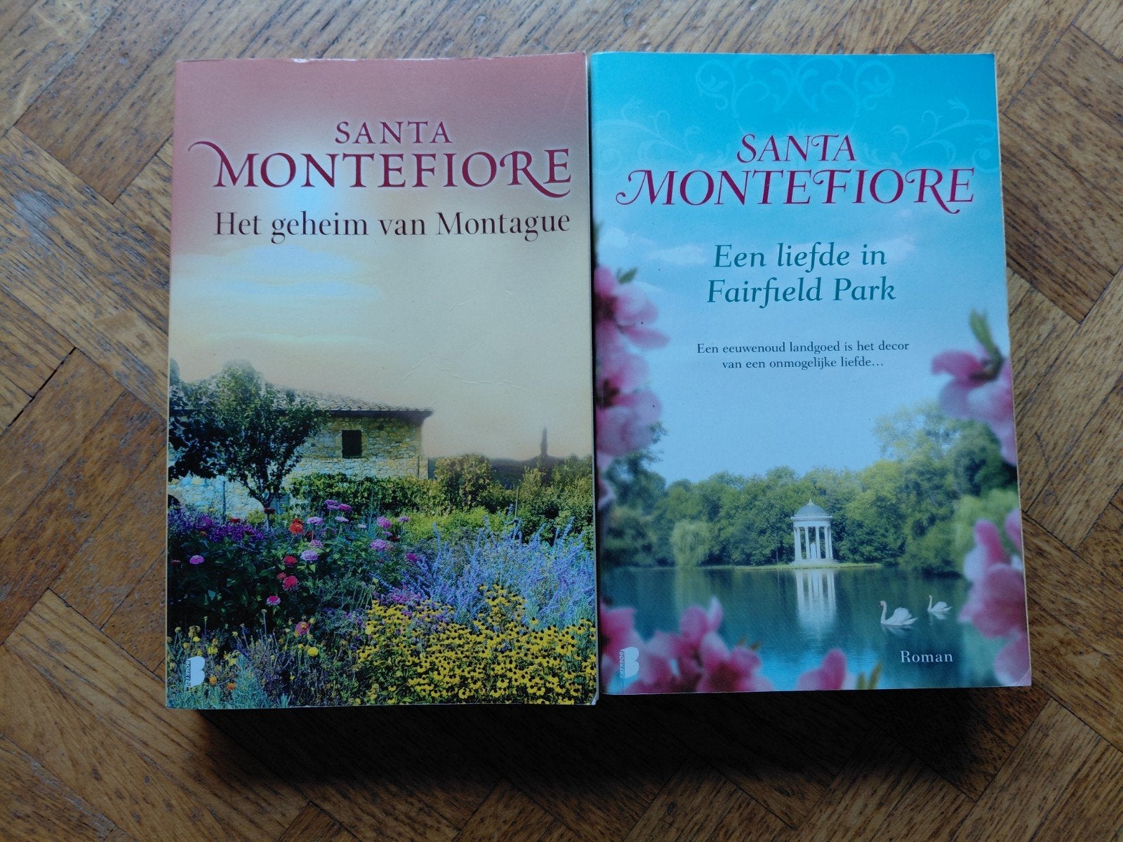 2 boeken Santa Montefiore, Boeken, Romans, Ophalen of Verzenden