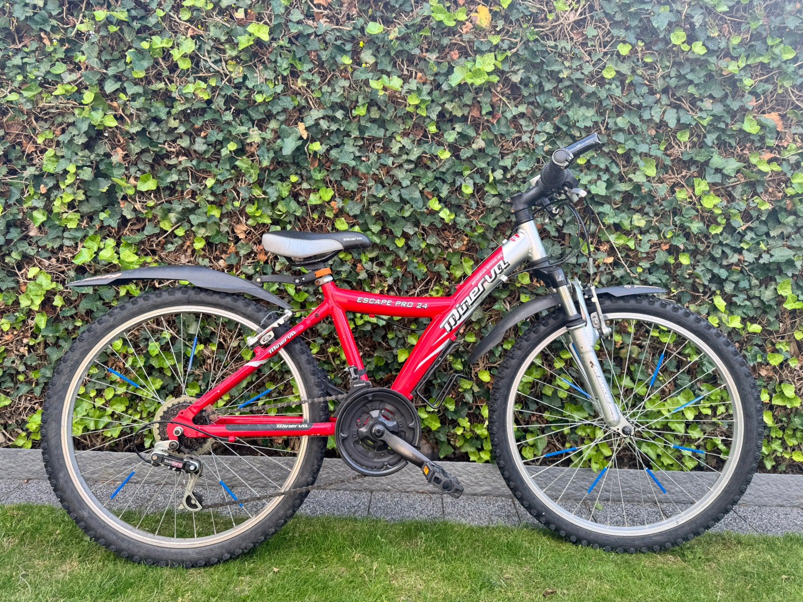 Minerva fiets 24 inch, Fietsen en Brommers, Ophalen, Velgrem, Versnellingen, Gebruikt