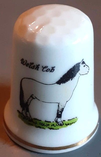 des a coudre de collection cheval welsh cob (4), Collections, Dés à coudre, Enlèvement ou Envoi, Comme neuf, Porcelaine