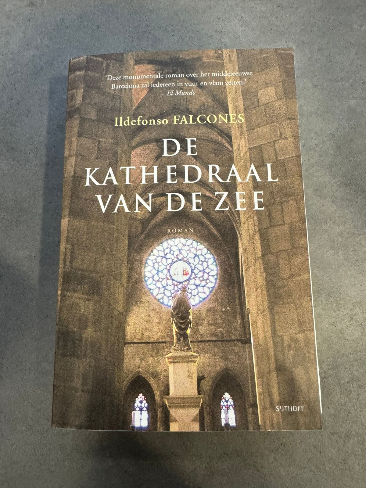 De Kathedraal van de Zee, Boeken, Historische romans, Ophalen, Gelezen