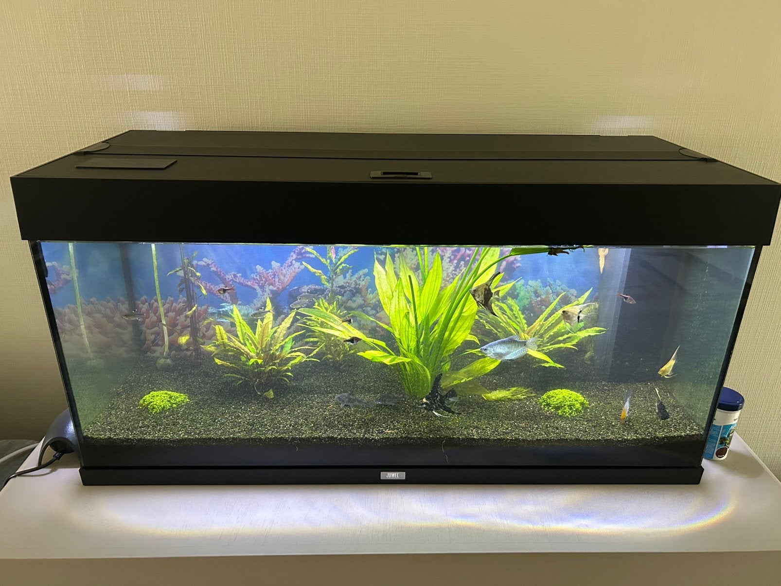 Aquarium Juwel 180L, Dieren en Toebehoren, Vissen | Aquaria en Toebehoren, Zo goed als nieuw, Filter, Pomp, Juwel, Ophalen