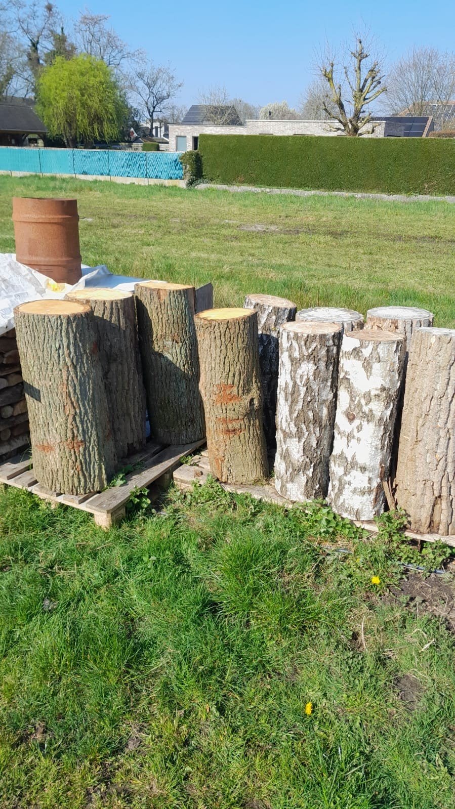 Nagelblokken eik, berk en canada te koop, Tuin en Terras, Brandhout, Ophalen