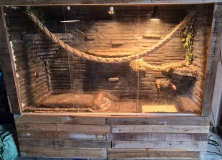 Terrarium, Dieren en Toebehoren, Ophalen, Zo goed als nieuw