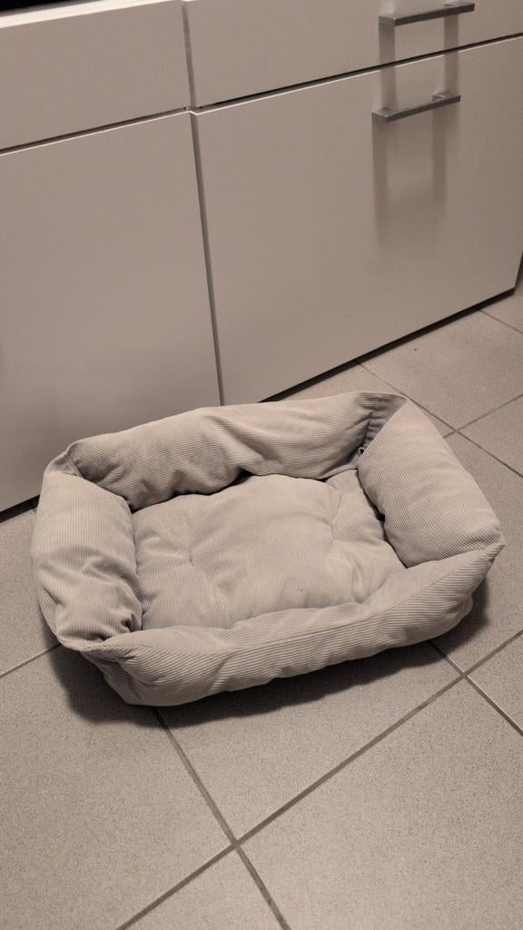 Kattenkussen, Dieren en Toebehoren, Ophalen