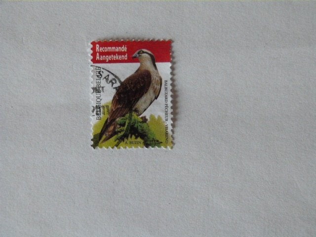België gestempeld nr. 4090, Ophalen of Verzenden, Gestempeld, Gestempeld