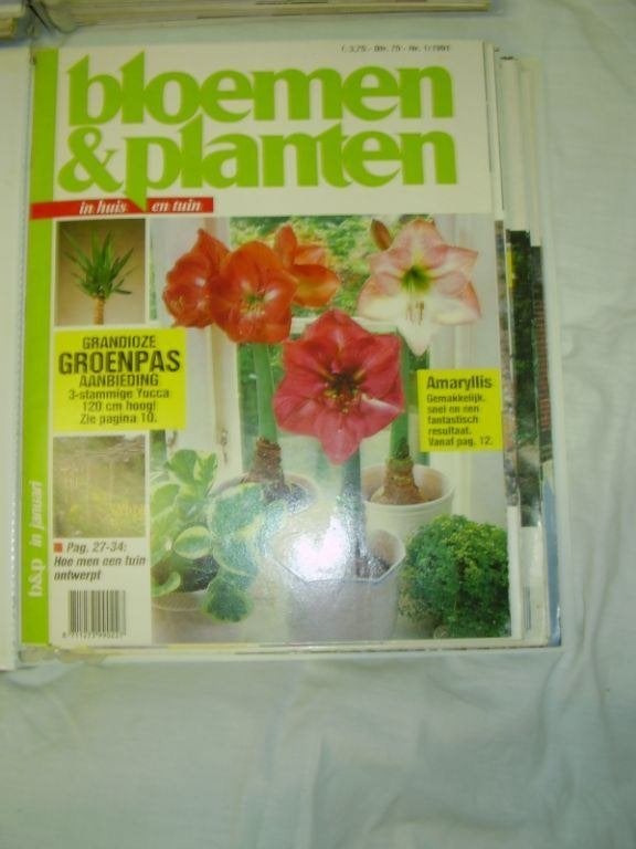 Magazine Bloemen en planten, Tuin en Terras, Ophalen