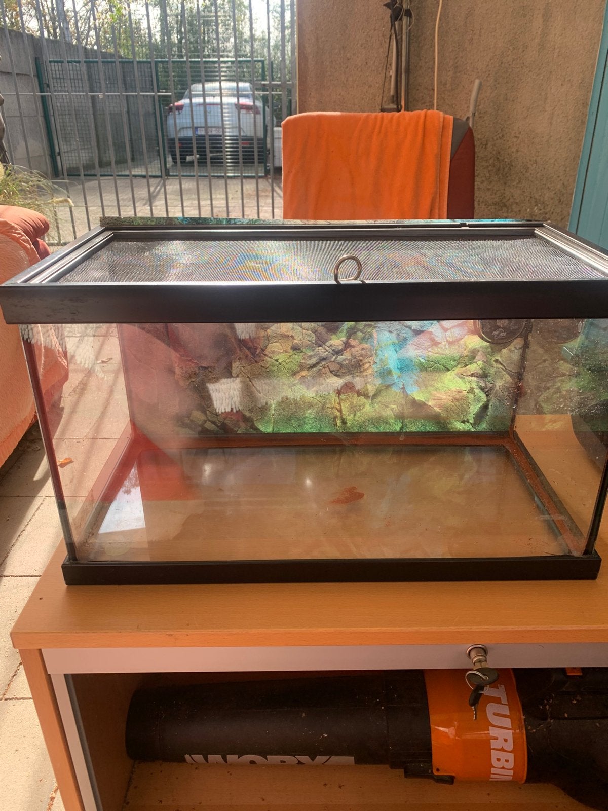 Terrarium, Dieren en Toebehoren, Ophalen