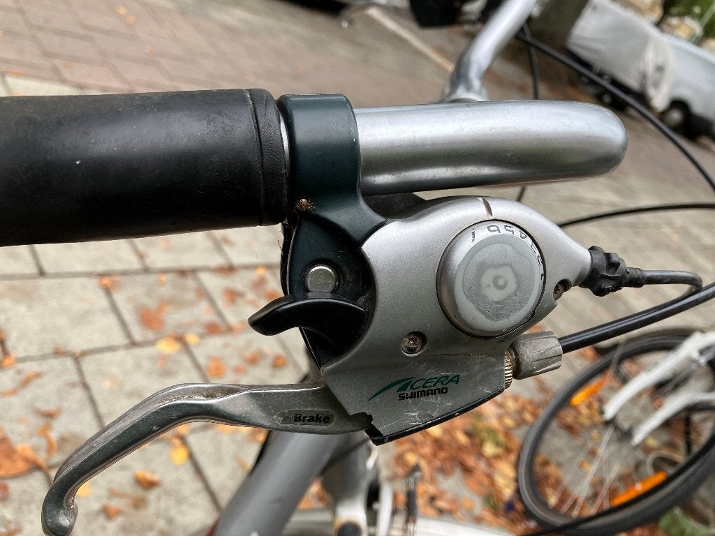Fiets Gazelle, Enlèvement, Utilisé, Gazelle, Accès (extra) bas