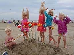 Couteaux, schelpjes, mesjes - bloemenwinkel aan zee, Enlèvement ou Envoi, Neuf