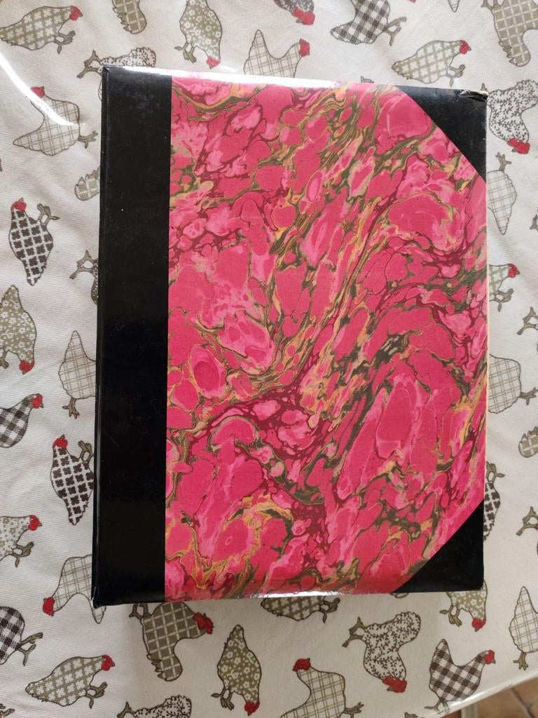Fotoalbum van 200 10x15 met negatieve hoesjes, Ophalen, Zo goed als nieuw