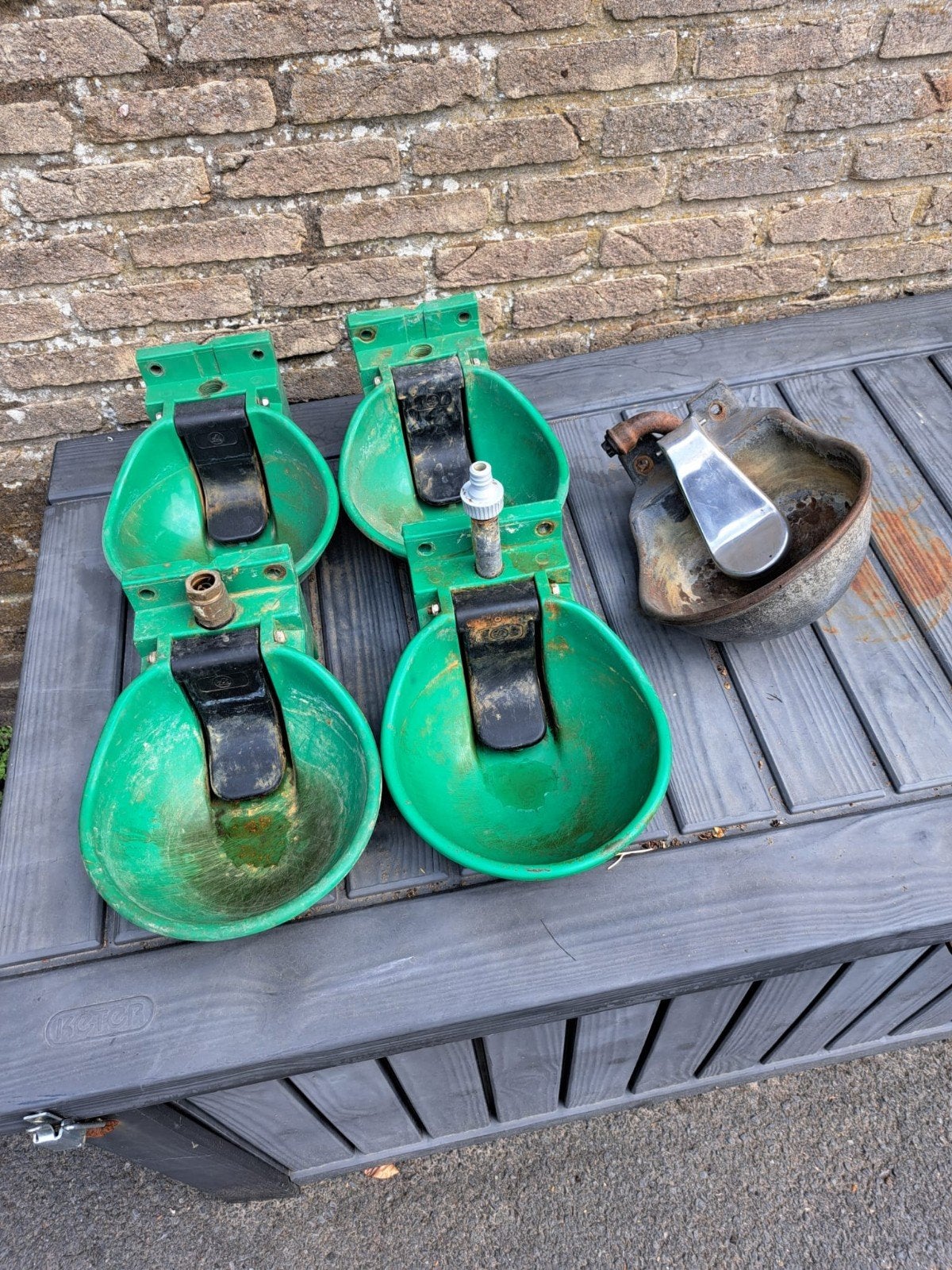 drinkbakken, Dieren en Toebehoren