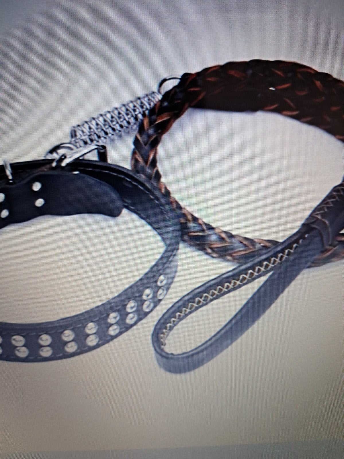 Laisse et Collier pour Chien, Dieren en Toebehoren, Ophalen