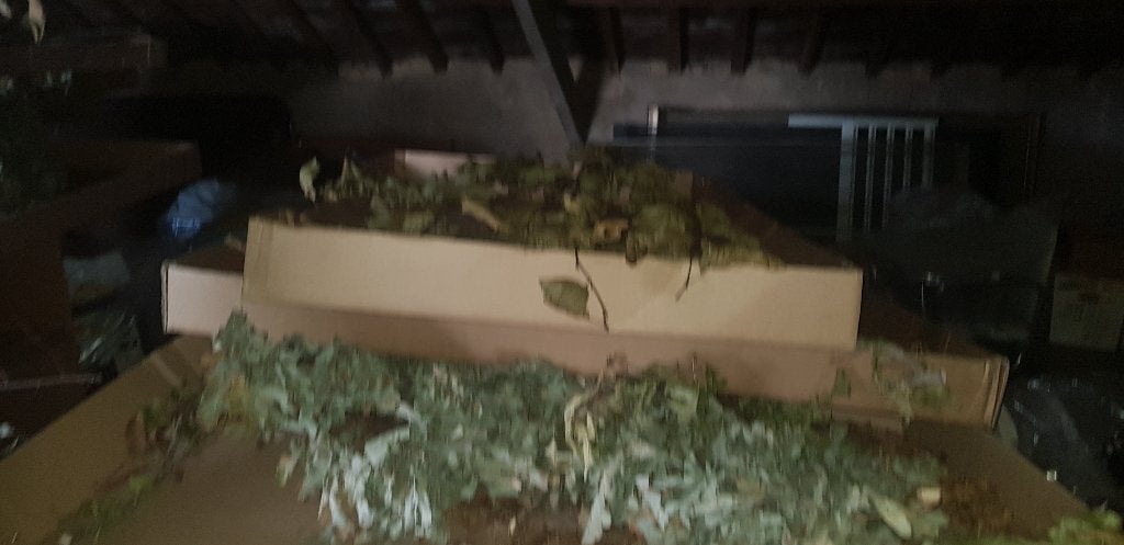 Cuve nue a refaire pu peut servir de terrarium, Enlèvement, Utilisé, Meuble d'aquarium