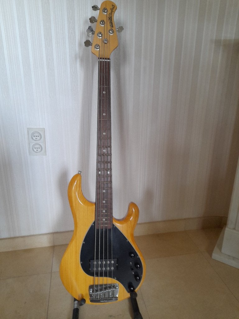 Guitare basse, Musique & Instruments, Instruments à corde | Guitares | Basses, Enlèvement, Utilisé, Électrique, 5 cordes