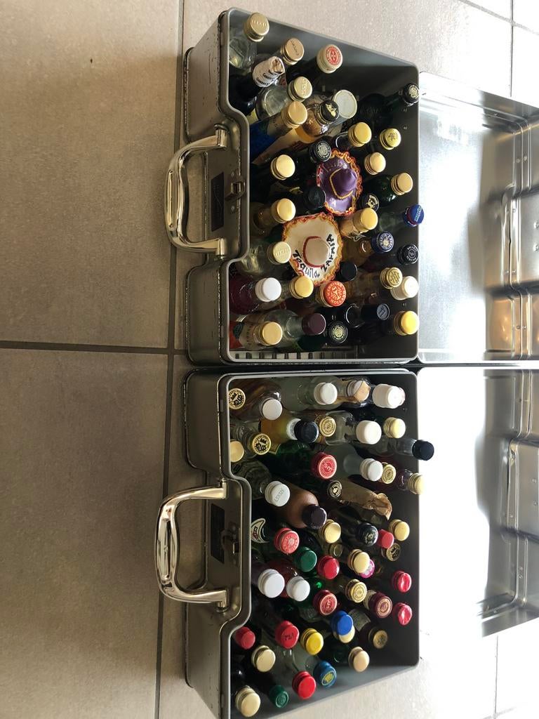 90 tal miniflesjes sterke drank, Verzamelen, Ophalen