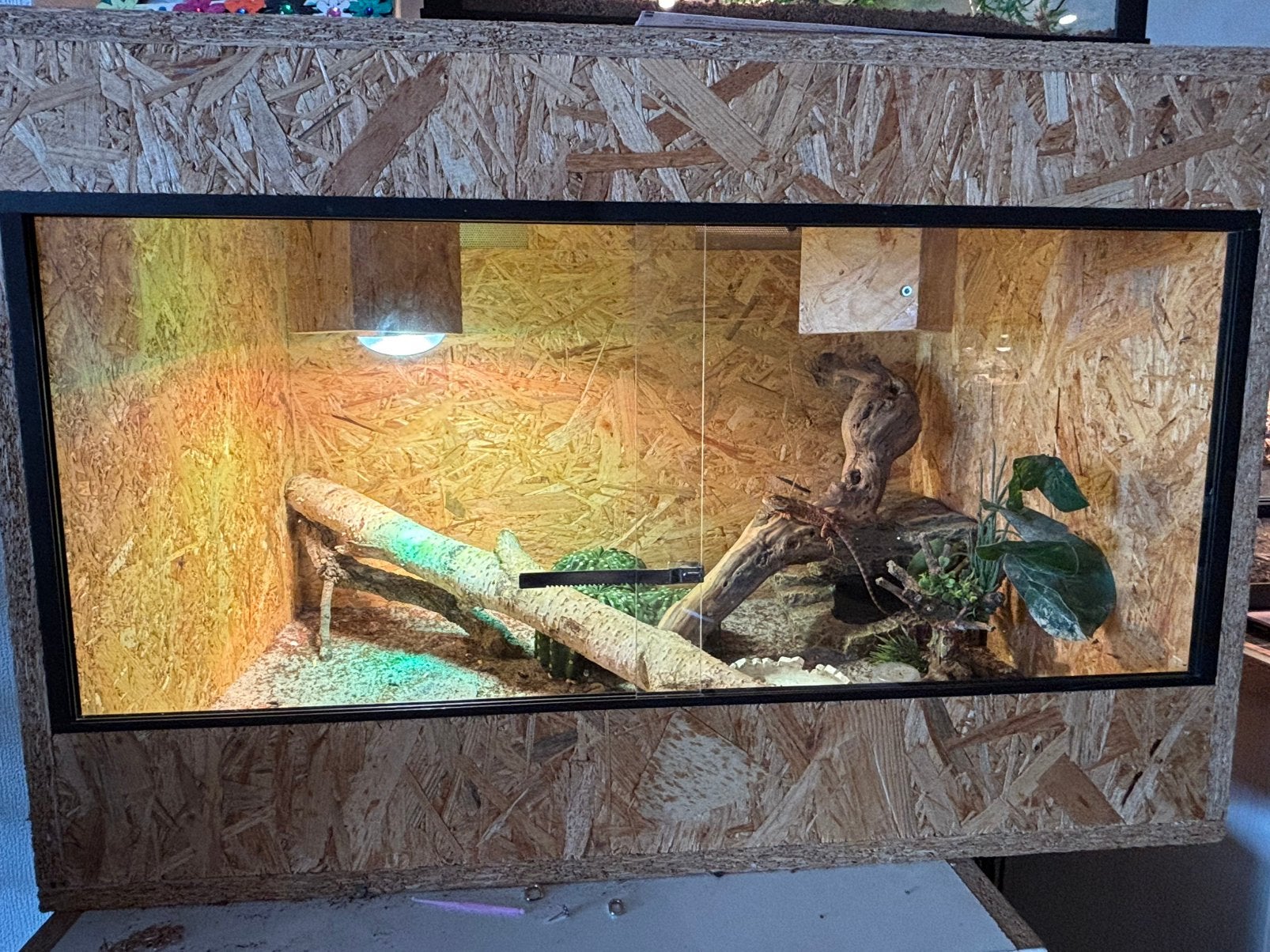 OSB terrarium 80x53,5x50, Enlèvement, Comme neuf