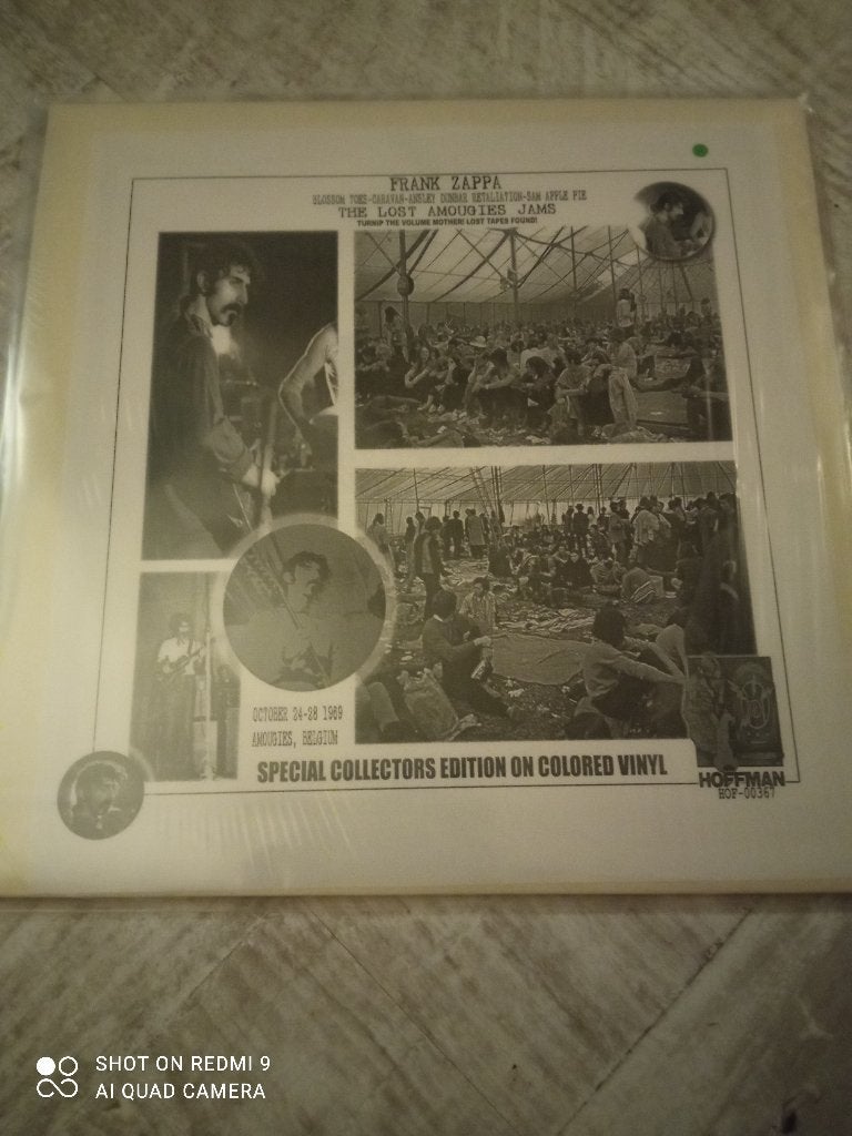 SIN89 / Frank Zappa / Captain Beefheart, Enlèvement ou Envoi, Comme neuf, 12 pouces, LP
