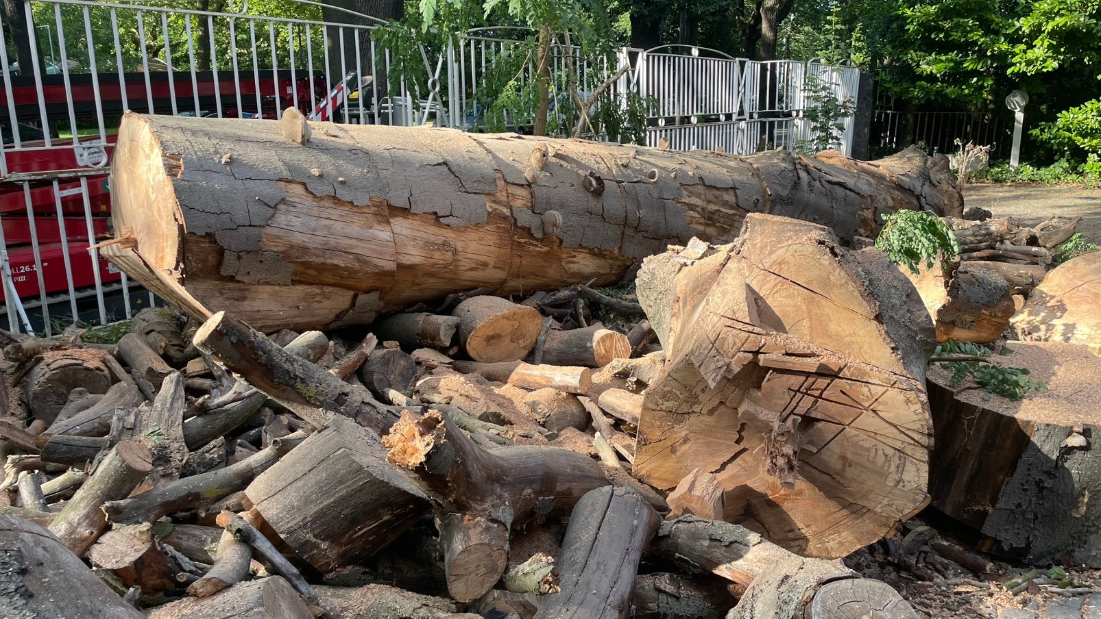 Hout voor op te halen, Tuin en Terras, Brandhout, Ophalen